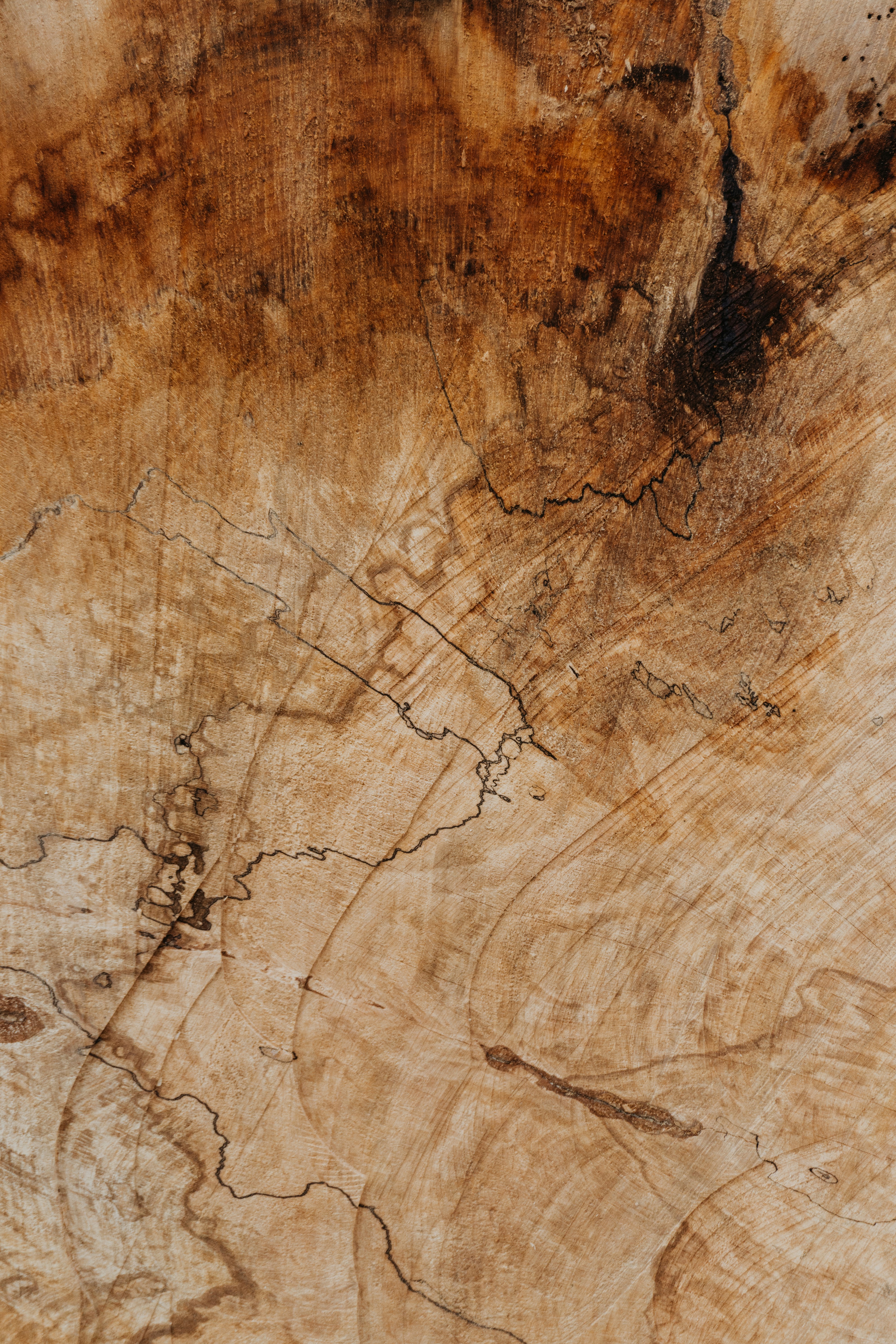 Hard Maple