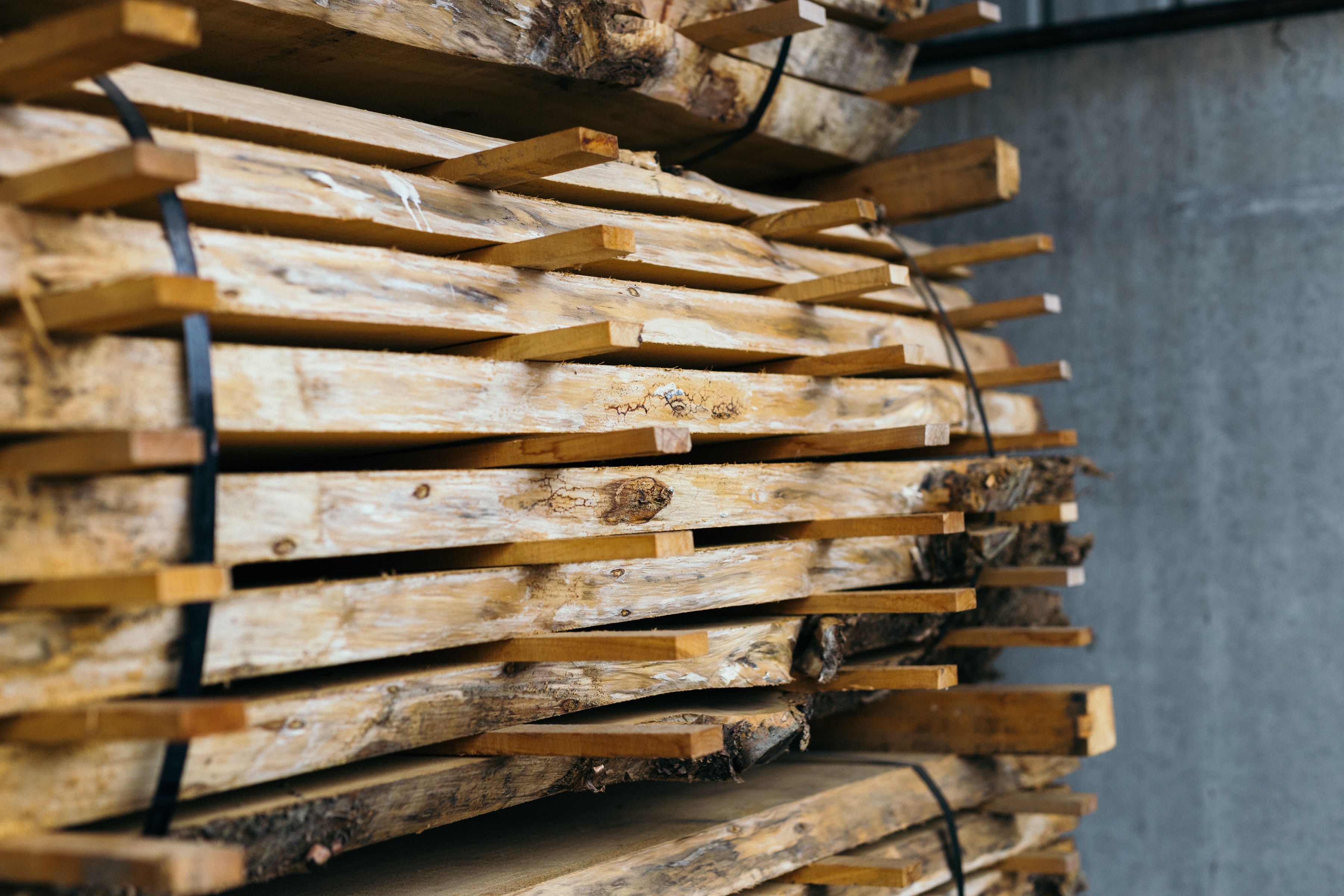 Live Edge Slabs