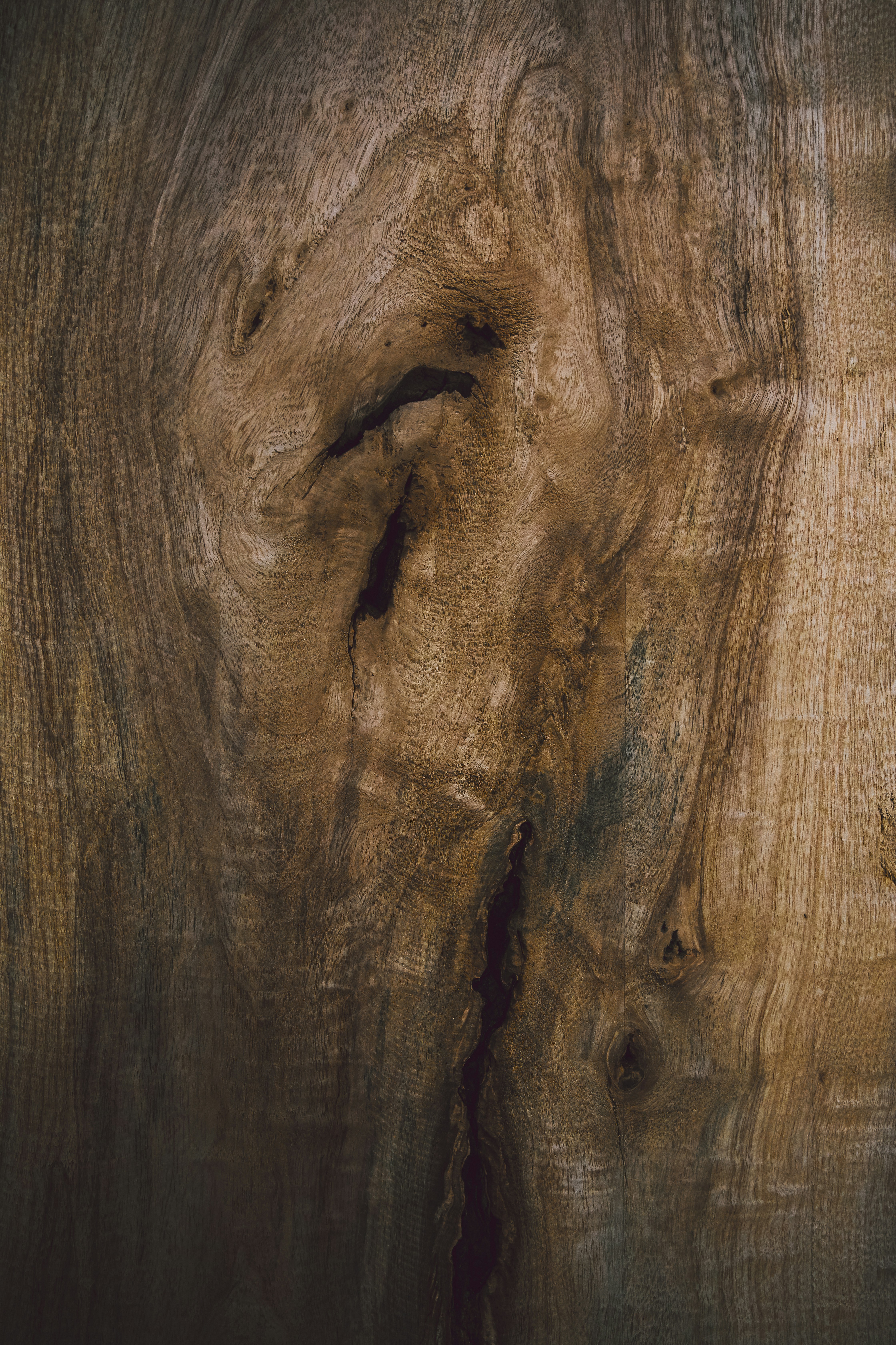 Black Walnut